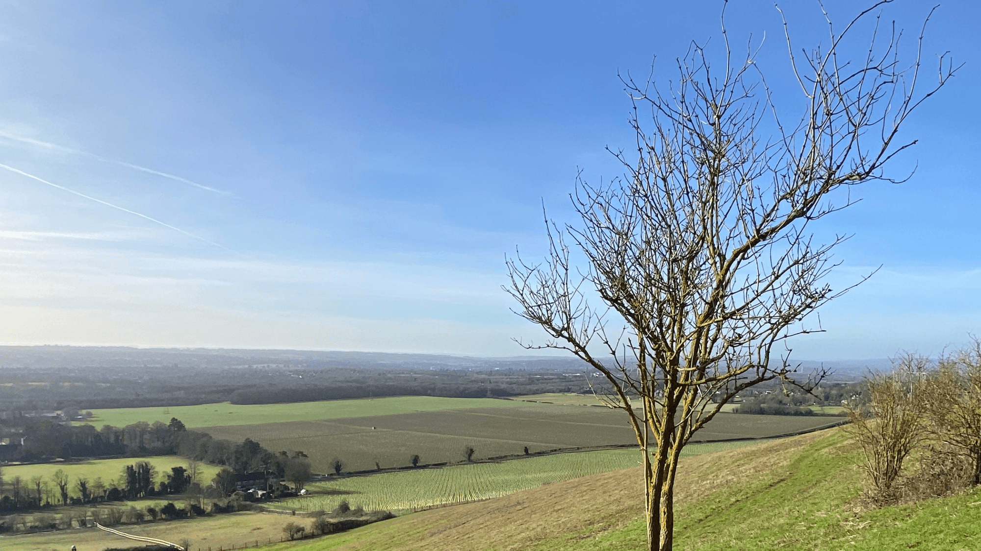 White Horse Wood Country Park