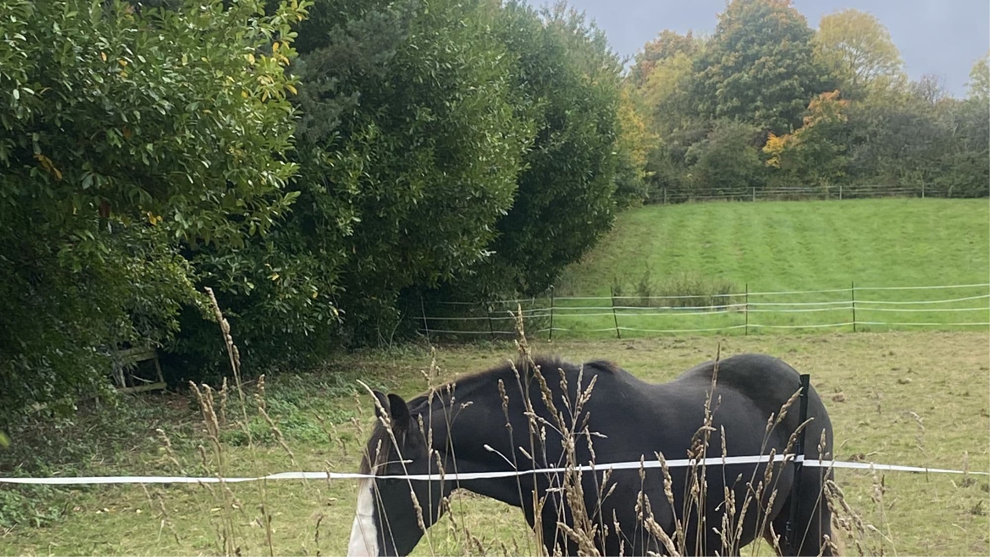 Capstone Farm Country Park